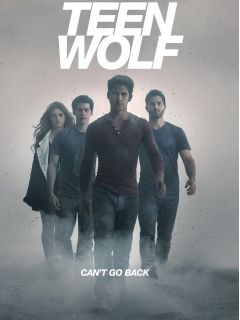 Постер сериала Волчонок 5 сезон